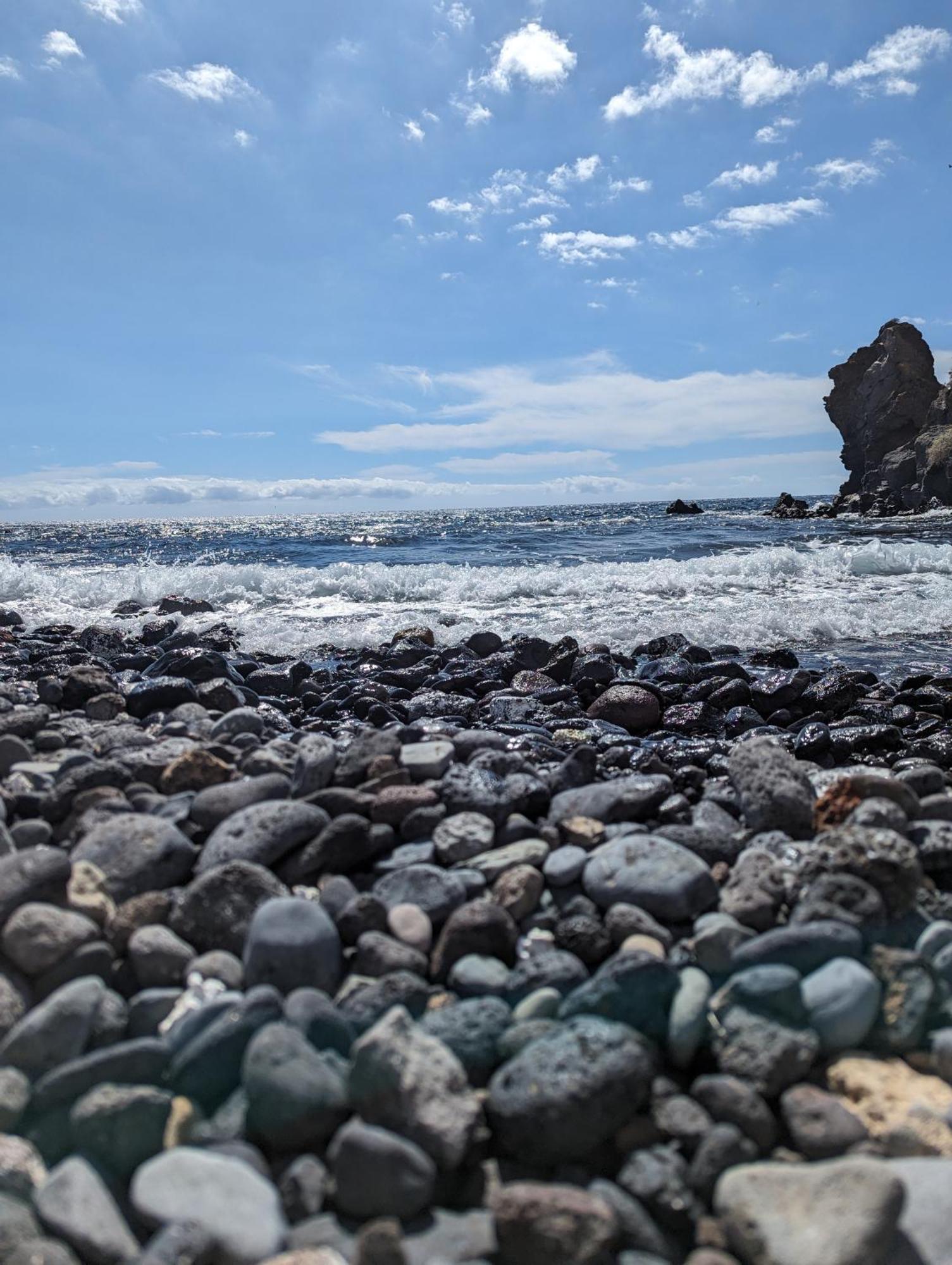 Seashell Serene Escape Los Abrigos Eksteriør billede